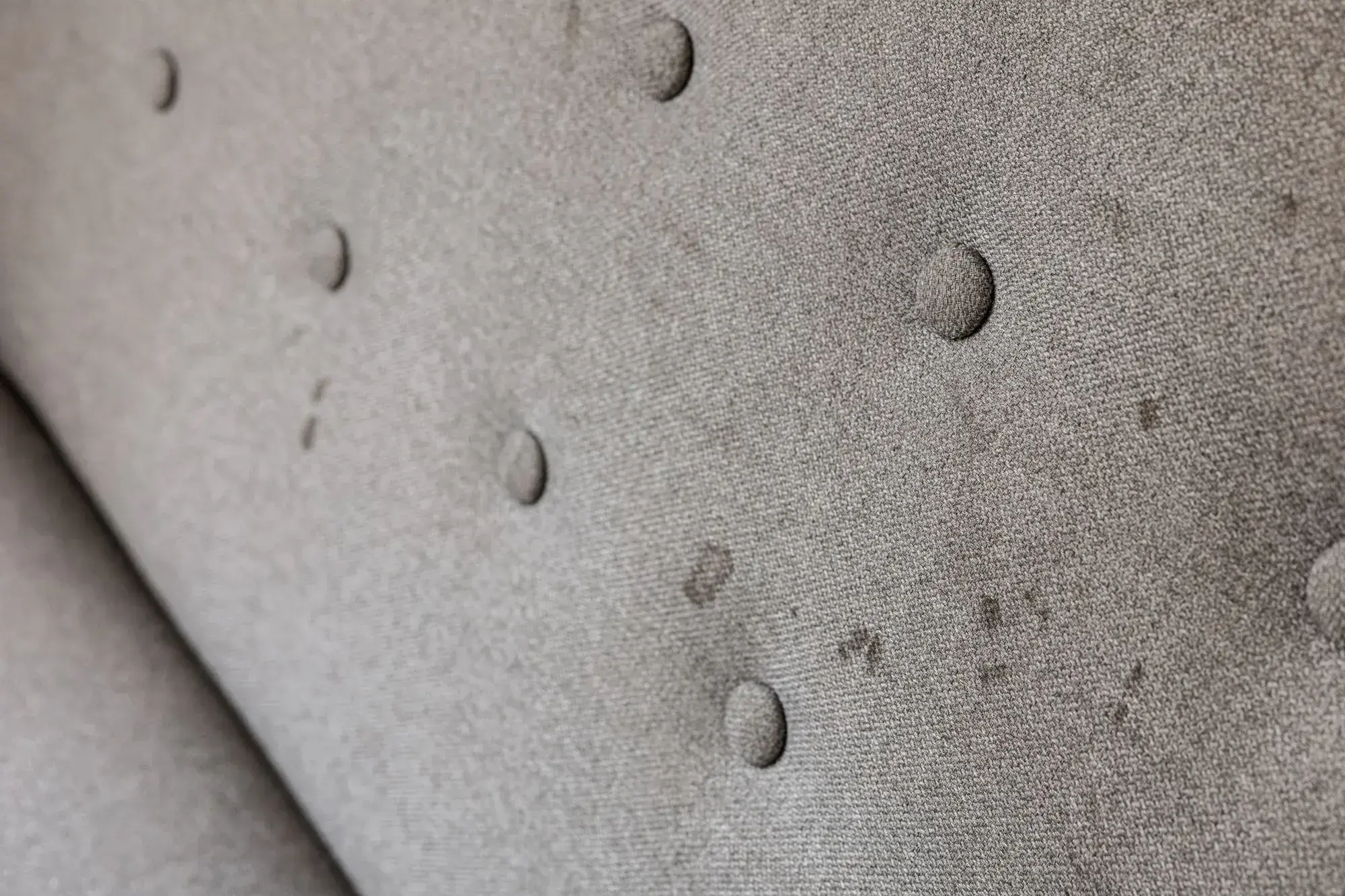 Bed Bug Treatment Dubai