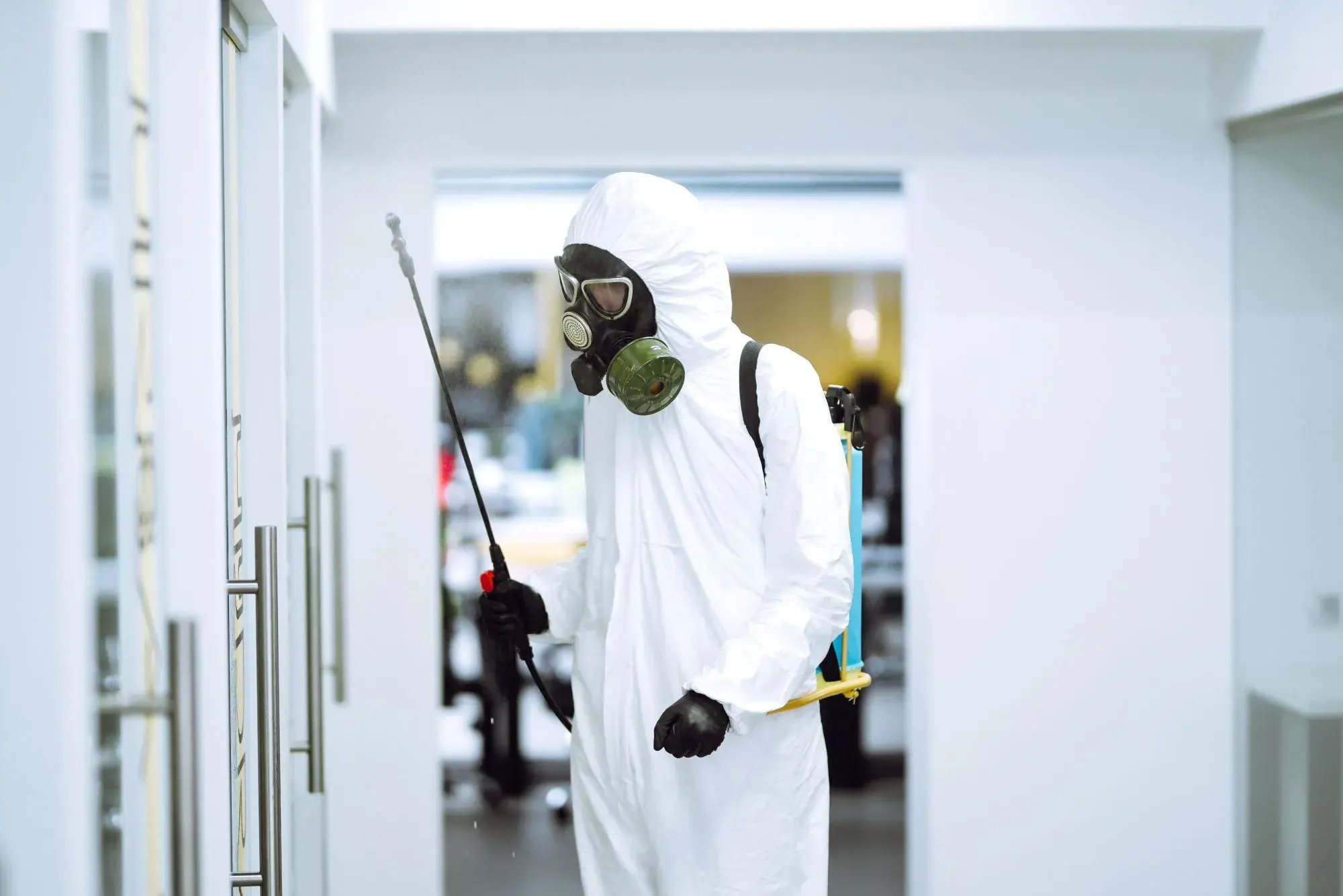 Commercial Pest Control Dubai