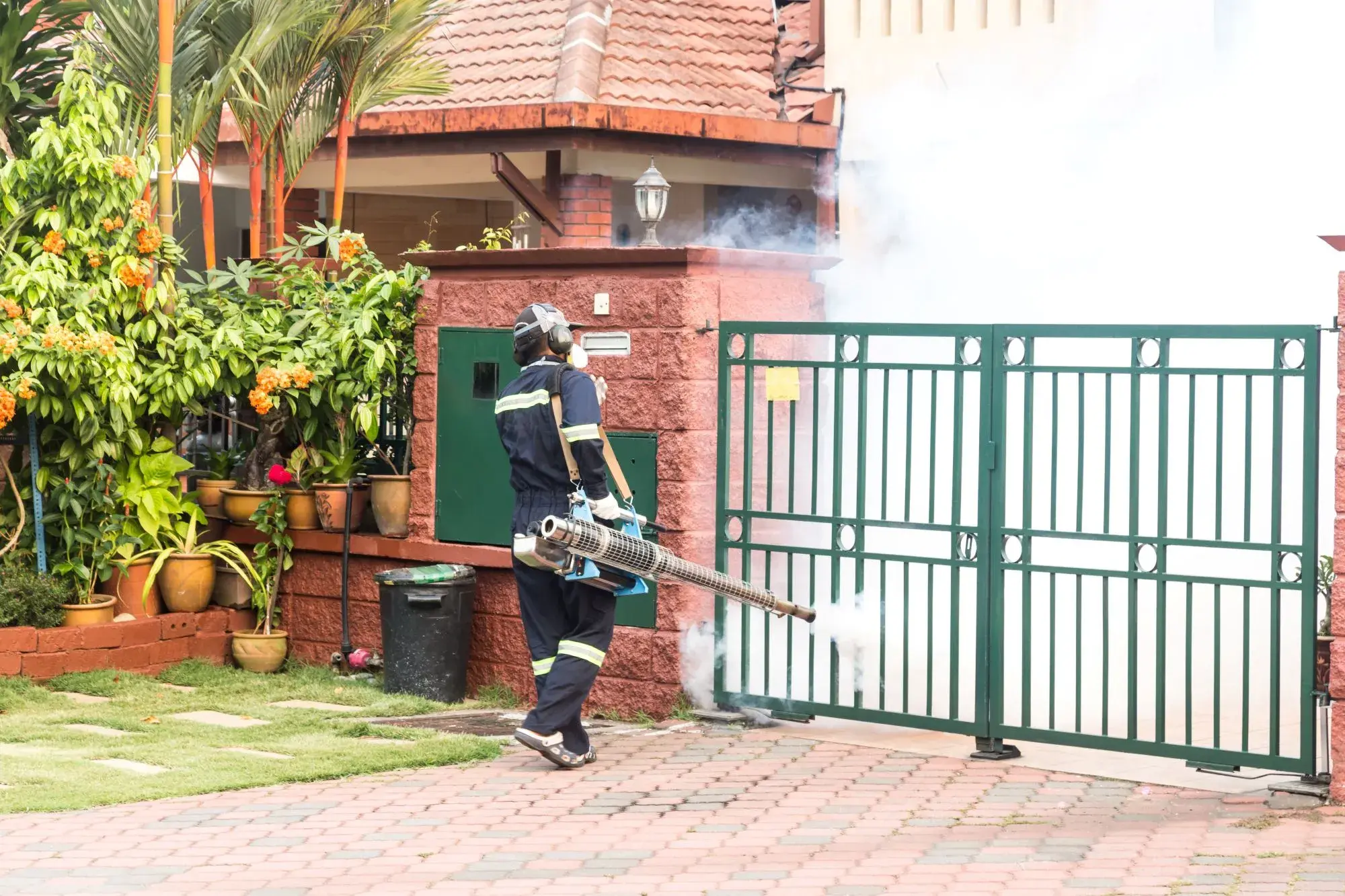 Mosquito Treatment Dubai